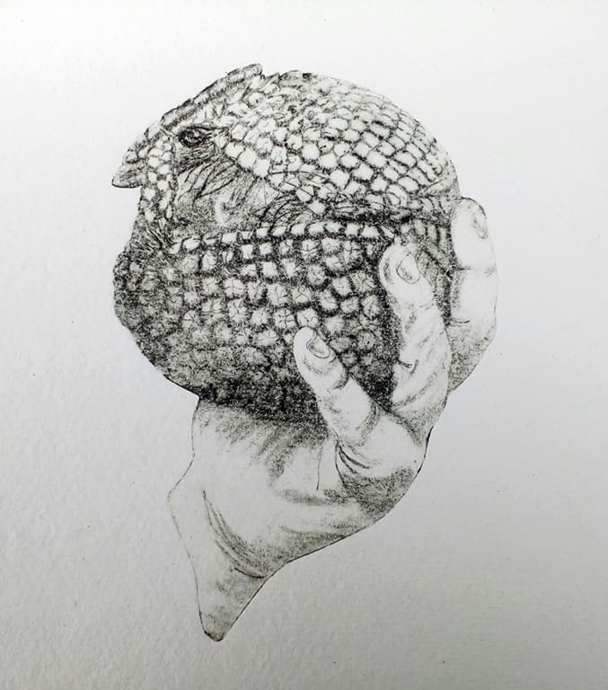 {image.alt}