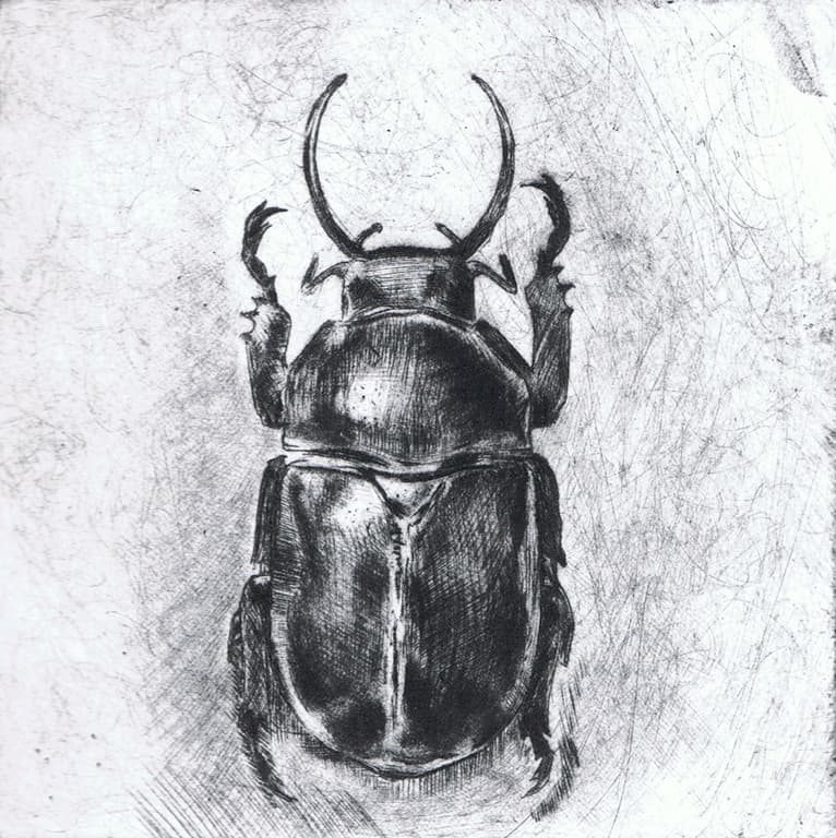 {image.alt}